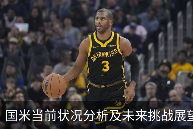 国米当前状况分析及未来挑战展望